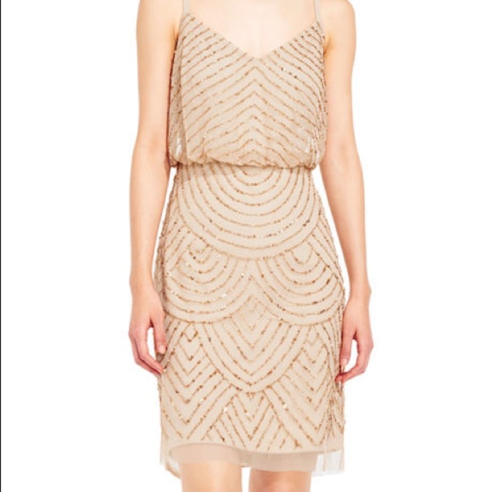 Adrianna Papell Sequin Mesh Blouson Dress NWOT